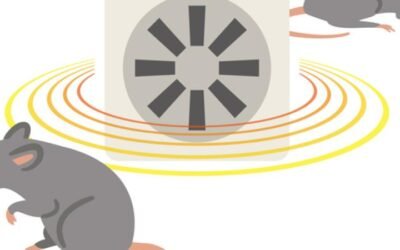 Ultrasonic Pest Control: Worth It or Waste of Money?